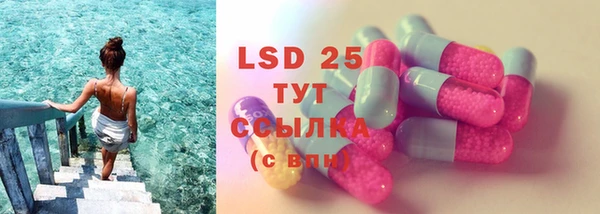 трава Инта