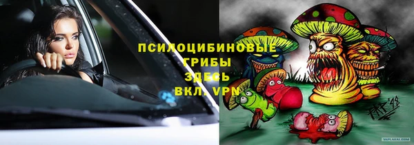 экстази Карпинск