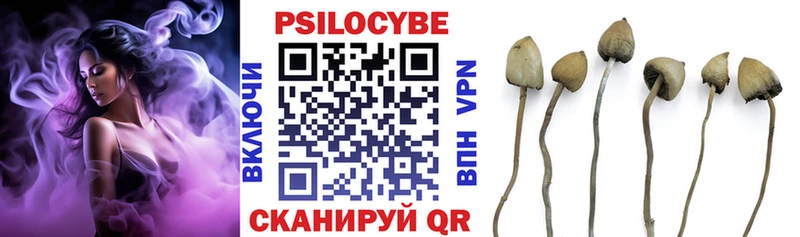 сколько стоит  Конаково  Псилоцибиновые грибы мицелий 